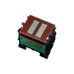 Pf - 07 t�te impression canon