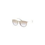 Lunettes de soleil ray - ban rb 4171 600068 erika classic 54 / 18