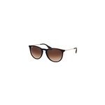 Lunettes de soleil ray - ban rb 4171 631513 erika classic 54 / 18