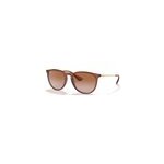 Lunettes de soleil ray - ban rb 4171 659013 erika classic 54 / 18