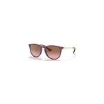 Lunettes de soleil ray - ban rb 4171 659114 erika classic 54 / 18