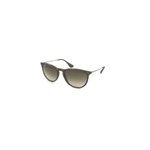 Lunettes de soleil ray - ban rb 4171 865 / 13 erika classic 54 / 18