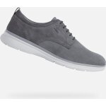 Baskets geox sirmione homme gris - 40