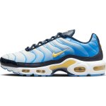 Baskets nike air max plus pour femme - bleu - 39