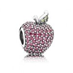 Charm pandora 791485cfr
