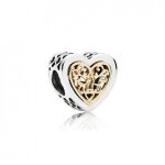 Charm pandora 791740
