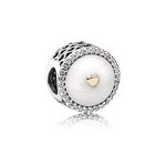 Charm pandora 792073en23
