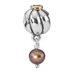 Charm pandora 79402bcz