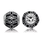 Charm pandora 796025