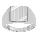 Chevali�re homme - argent 925