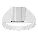 Chevalire homme - argent 925