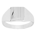 Chevali�re homme - argent 925