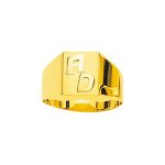 Chevalire homme - or 18 carats