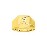 Chevalire homme - or 18 carats