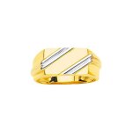 Chevalire homme - or 18 carats