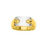 Chevalire homme - or 18 carats