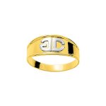 Chevalire homme - or 18 carats