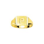 Chevalire homme - or 18 carats