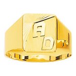Chevalire homme - or 18 carats
