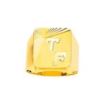 Chevalire homme - or 18 carats