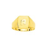 Chevalire homme - or 18 carats