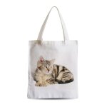 Grand sac shopping plage etudiant splendide chaton tigre yeux gris europeen mignon chat