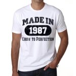 Homme tee - shirt grandir  la perfection fabriqu en 1987 - grow to perfection made in 1987 - 37 ans ...