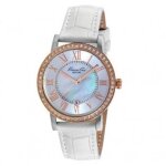 Montre femme kenneth cole classic ikc2836