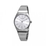 Montres pour homme calvin klein k6c2x146