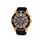 Montre homme pulsar pt3134x1 (45 mm) Montre homme pulsar pt3134x1 (45 mm)