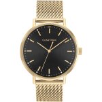 Montres seul le temps montre seul le temps homme calvin klein timeless trendy cod. 25200049 calvin klein ...
