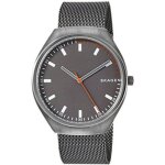 Montre skagen skw6387