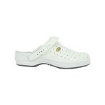 Mules scholl new bonus - 40