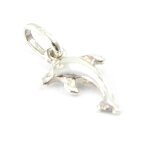 Pendentif argent  dauphin