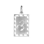 Pendentif argent rhodi zodiaque plaque rectangulaire scorpion brillant fond sabl