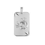 Pendentif zodiaque plaque gi cancer argent rhodié diamanté Étoile Pendentif zodiaque plaque gi cancer argent rhodié diamanté Étoile