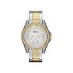 Relogio fossil riley