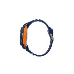 Relogio sector expander