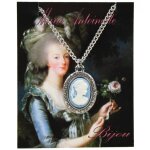Les trsors de lily [q8257] - collier rtro 'came' bleu argent - 45 cm, 25x20 mm