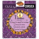 Les tr�sors de lily [r2332] - bracelet cr�ateur 'corsica' oeil de tigre - 8 mm