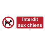 Autocollant lavable toughwash� iso 7010 - interdit aux chiens - p021