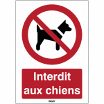 Autocollant toughwash� avec texte iso 7010 - interdit aux chiens - p021