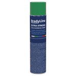 Peinture a�rosol extra forte bradyline