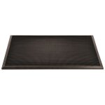 Tapis d'entr�e d�sinfectant sani - trax