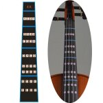 1 pc violon echelle autocollants doigt anneau tableau pour 4 / 4 3 / 4 1 / 2 1 / 4 1 / 8 1 / 10 violon, ... 1 pc violon echelle autocollants doigt anneau tableau pour 4 / 4 3 / 4 1 / 2 1 / 4 1 / 8 1 / 10 violon, ...