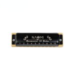 10 trous professionnels blues harmonica acrylique peigne en laiton anches c cl avec etui noir