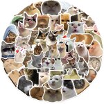 100pcs kit d'autocollants chat, autocollants chaton mignon, autocollants jetables impermables esthtiques ...