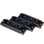 3pcs hoodoo blues harmonica cdg tone harmonica set avec etui