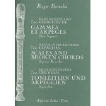 700 exercices de gammes et arpges flte a bec soprano