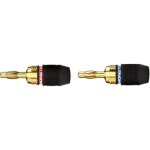 Accessoires audio monster cable cable audio quicklock fiches bananes 2x2